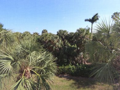 Naples Condo 920110