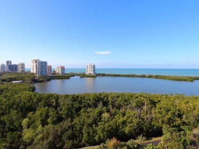 Naples Condo 920174 Naples Condo 920174