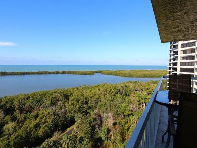 Naples Condo 920174 Naples Condo 920174