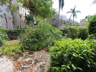 Naples Condo 920194