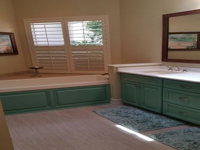 Bonita Springs Home 920212
