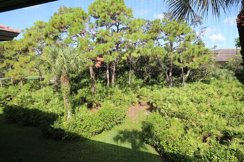Bonita Springs Condo 920240