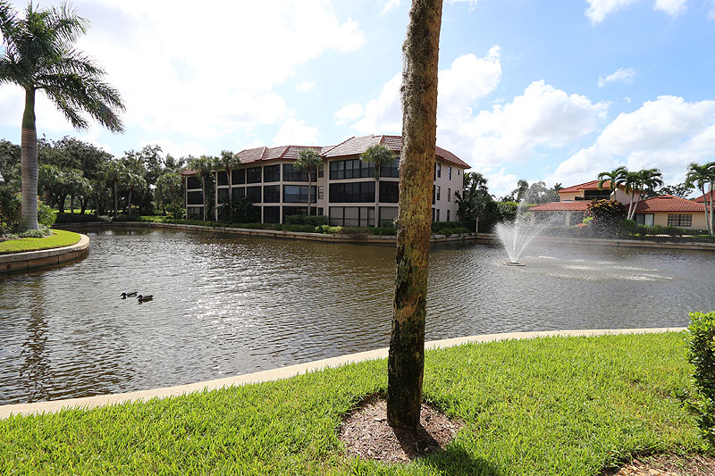Naples Condo 920280