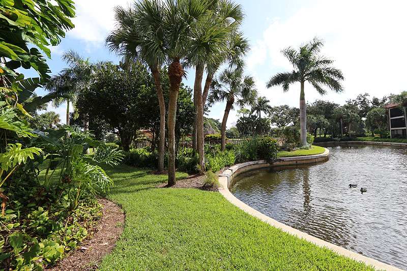 Naples Condo 920280
