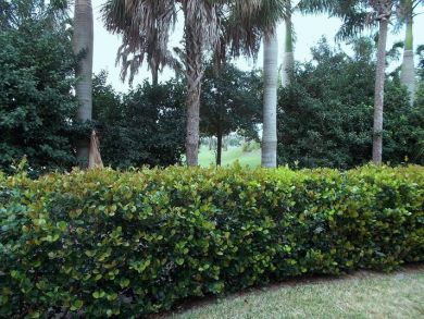 Naples Home 920310