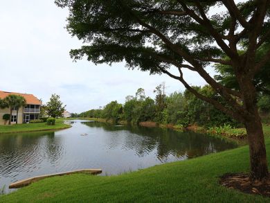 Naples Condo 920319