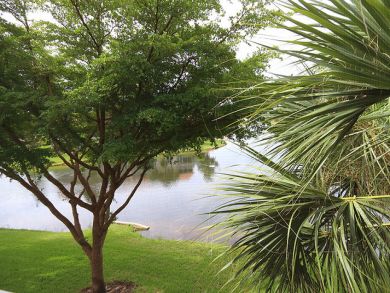 Naples Condo 920319