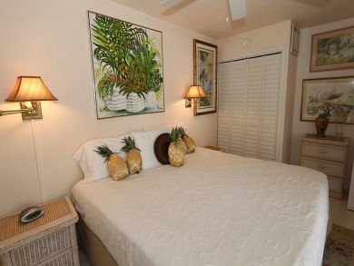 Bonita Springs Condo 920434