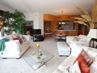 Bonita Springs Condo 920459