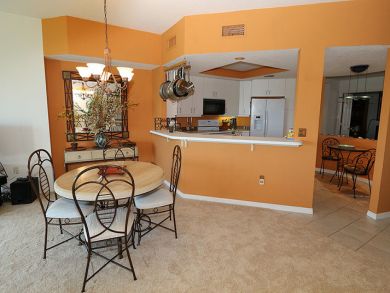 Bonita Springs Condo 920459