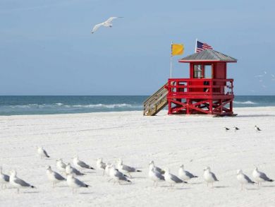 Siesta Key Condo 920491