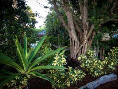 Siesta Key Condo 920492