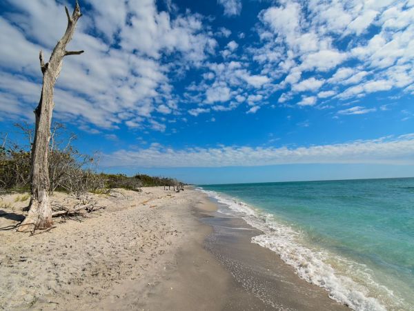 Englewood Vacation Condo One Bedroom Walk to Beach