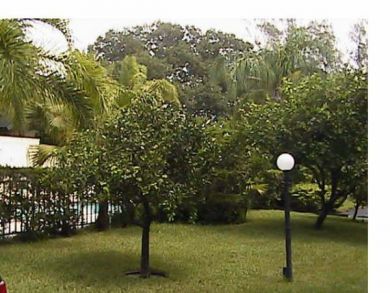 Manasota Key Condo 920524