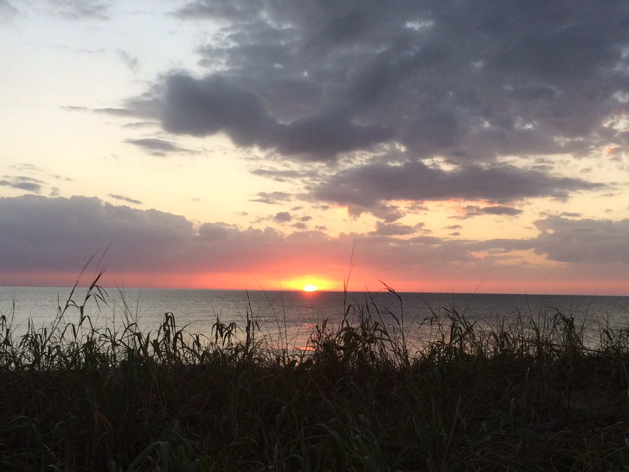Manasota Key Condo 920544