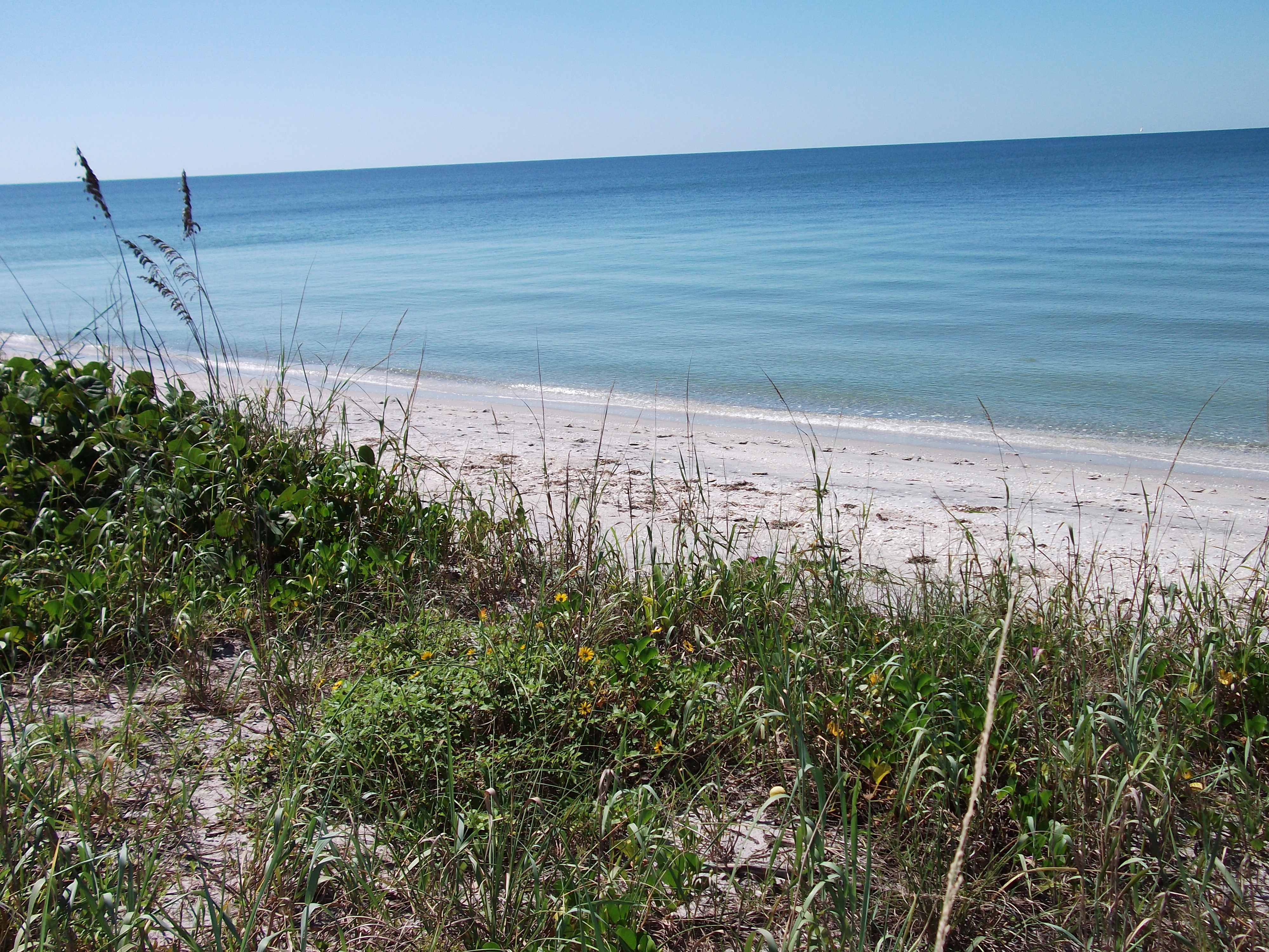 Manasota Key Condo 920548 Manasota Key Condo 920548
