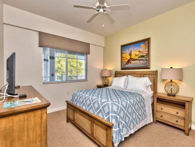 Naples Condo 920617