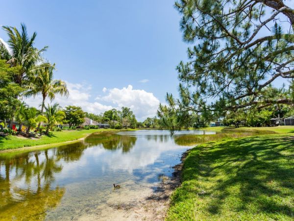 Close to Downtown Naples Luxury Pool Home