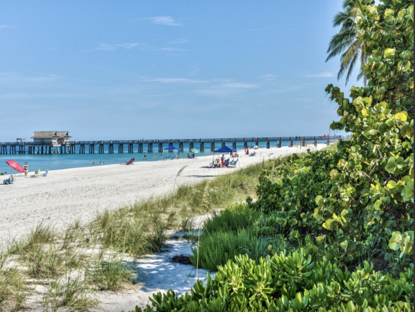 Naples Condo Right in the Heart of Everything!