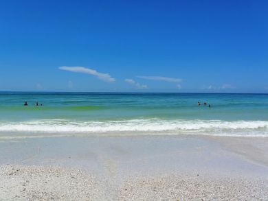 Siesta Key Condo 920672