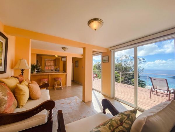 St. Thomas Luxury Vacation Villa Main House & Guest House