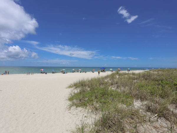 Manasota Beautiful Vacation Pool Home