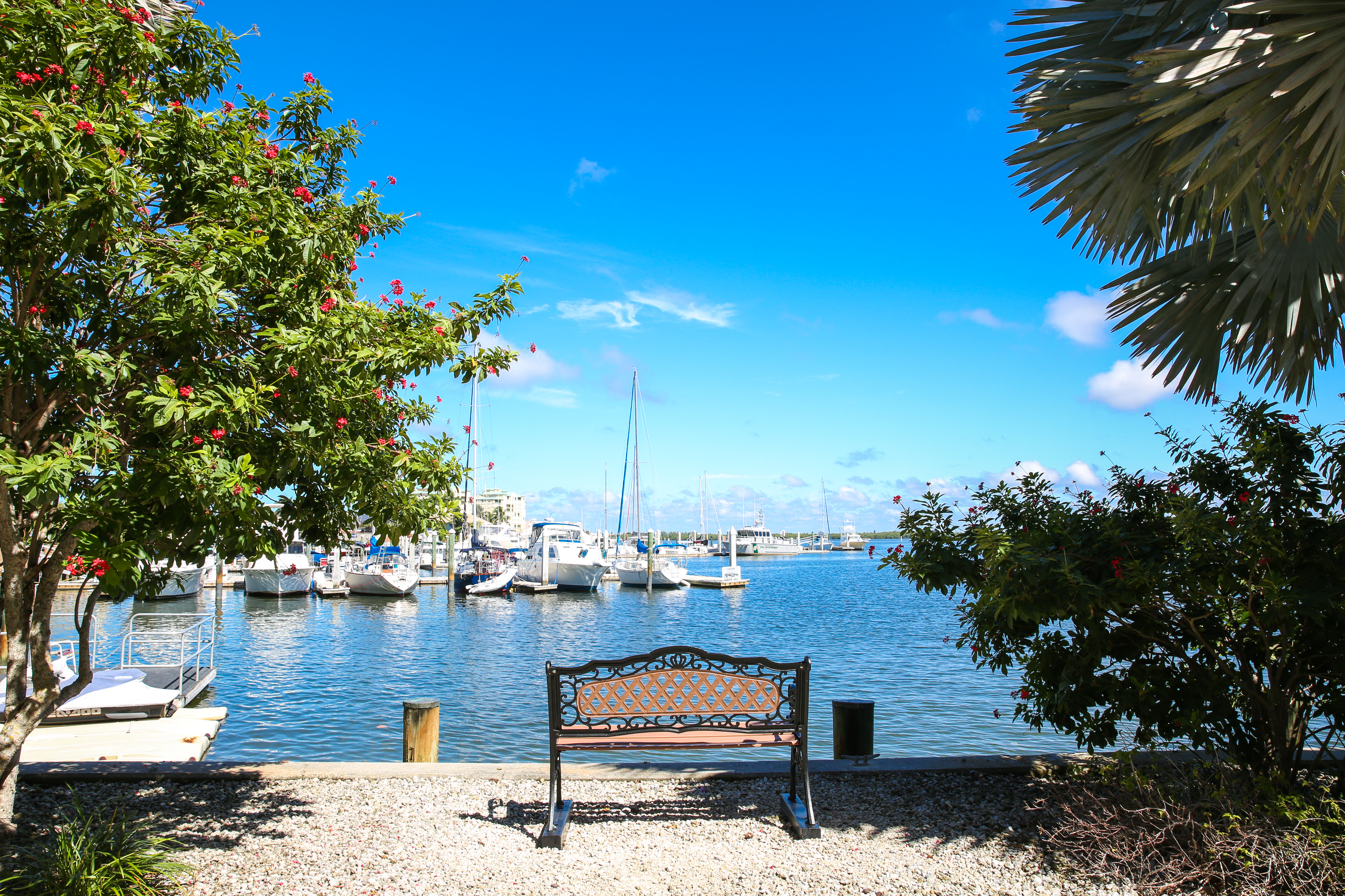 Marco Island Condo 920767