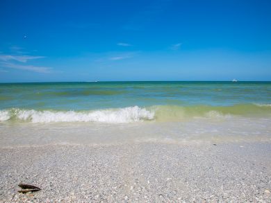 Marco Island Condo 920772