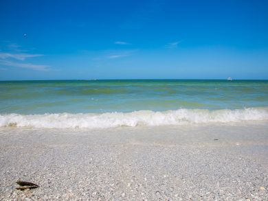 Marco Island Vacation Rental 1 Bedroom Sleeps 4 Guests