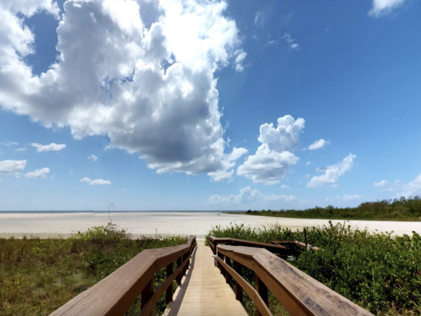 Dream Gulf of Mexico Views