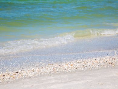 Marco Island Home 920814