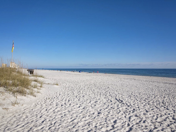 Spacious 12 Bedrooms Luxury Vacation Home Located on Beach