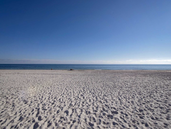 Spacious 12 Bedrooms Luxury Vacation Home Located on Beach