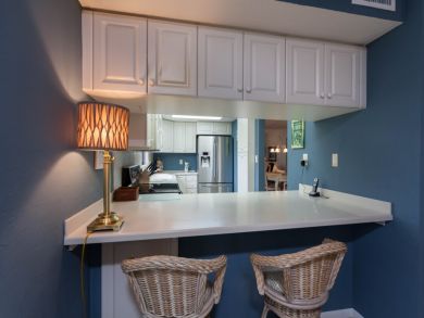 Naples Condo 920938