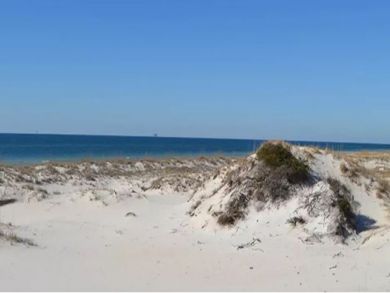 Gulf Shores Vacation home Sleeps Thirty Four Guests.