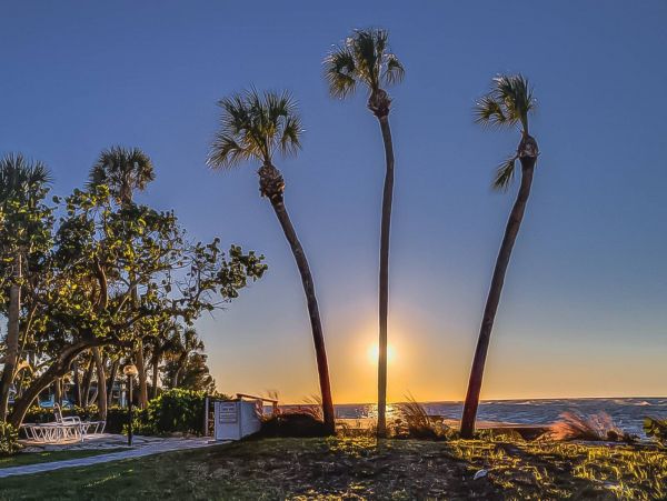 Siesta Key Vacation Rental Townhouse Two Bedrooms Sleeps 4
