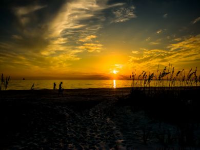 Fort Myers Home 921080