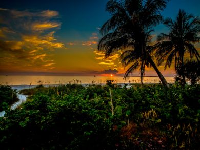 Fort Myers Home 921080