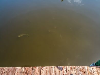 Cape Coral Home 921113