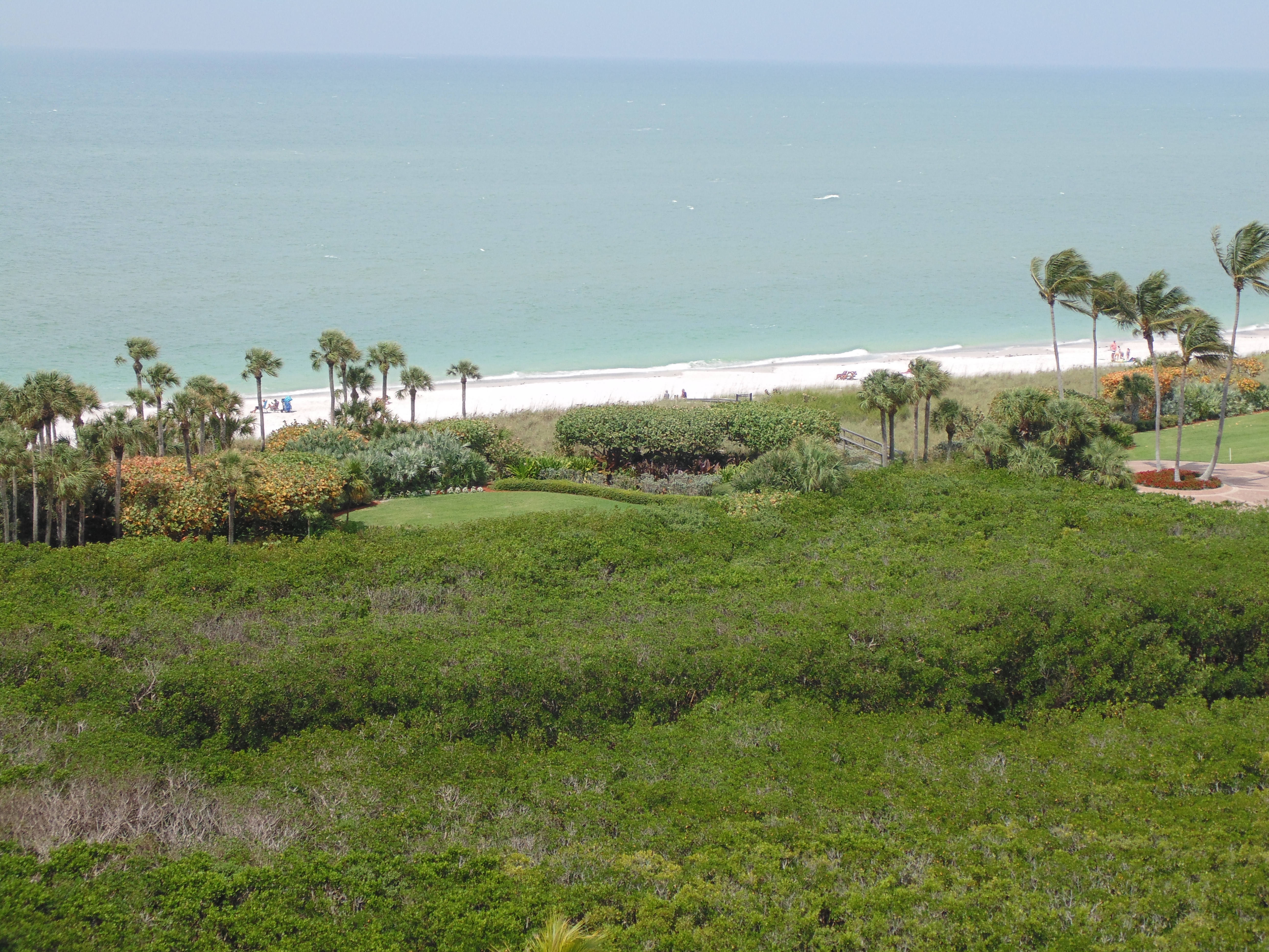Naples Condo 921231