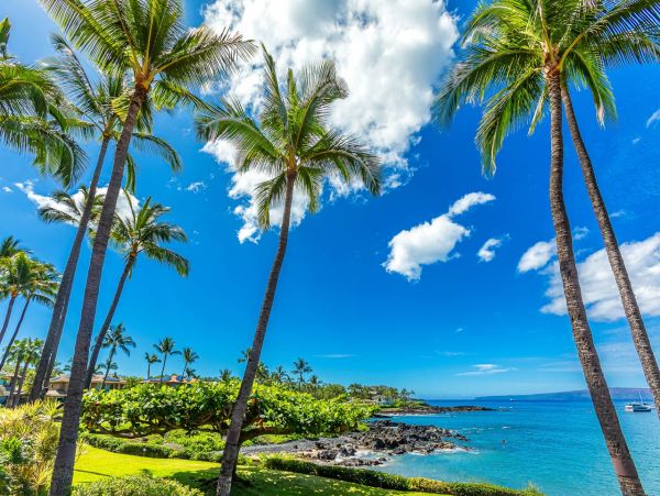 Kihei Vacation Rental Condo Two Bedrooms