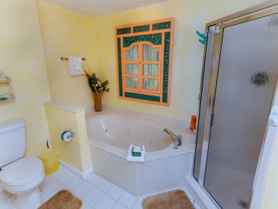 Destin Condo 921759