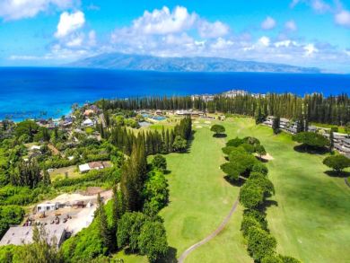 Kapalua Vacation Villa Sleeps Six Guests