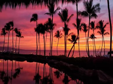 Ocean Front Luxury Hotel Room in Wailea