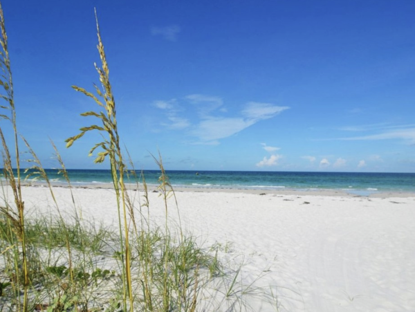 Luxury Siesta Key Vacation Rental with Private Pool & Rooftop Deck