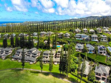 Kapalua Vacation Condo Sleeps Six Guests Summer Kitchen
