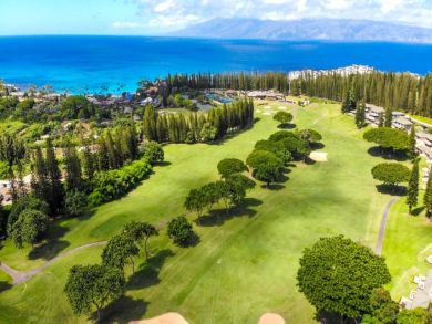 Kapalua Vacation Condo Sleeps Six Guests Summer Kitchen
