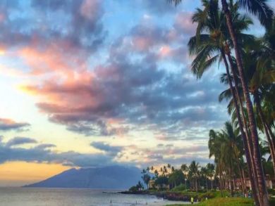 Wailea Ocean View Luxury