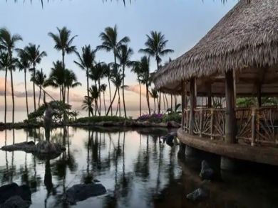 Wailea Ocean View Luxury