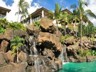 Wailea Ocean View Luxury